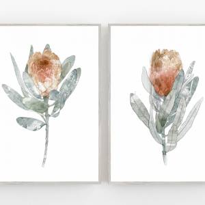 Set von 2 Protea Blüten Kunstdrucken, botanische Kunstdrucke, orange Blumen Wandkunst Bild 2
