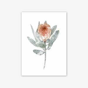 Set von 2 Protea Blüten Kunstdrucken, botanische Kunstdrucke, orange Blumen Wandkunst Bild 4