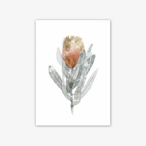 Set von 2 Protea Blüten Kunstdrucken, botanische Kunstdrucke, orange Blumen Wandkunst Bild 5