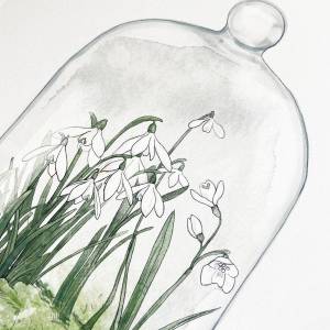 Schneeglöckchen Terrarium Fine Art Print, Frühlingsdruck, weiße Blumen Kunstdruck Bild 8