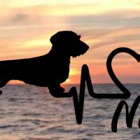 Aufkleber Herzlinie Heartbeat Hund Rauhaardackel Bild 1
