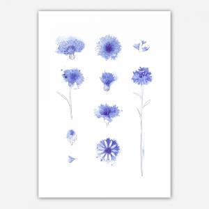 Set von 3 Kunstdrucken, Aquarell Kornblumen Druck, Lavendel Druck Bild 2