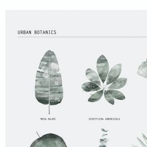 Urban Botanics Pflanzendruck, Botanik Kunstdruck, Tropische Blätter Illustration Poster Bild 2