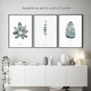 Aquarell Eukalyptus Zweige Kunstdruck, Eikalyptus grüner Blatt Kunstdruck, Eukalyptus Poster, Wohnzimmer Wandkunst Bild 5