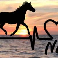 Aufkleber Herzlinie Heartbeat Pferd Araber Bild 1