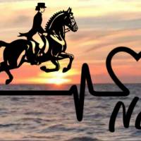 Aufkleber Herzlinie Heartbeat Pferd Deutsches Dressurreiten Bild 1