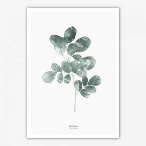 Set von zwei mintfarbenen Kunstdrucken, Botanischer Kunstdruck Moringa Blätter, Spruch "Enjoy the litttle things" Bild 5
