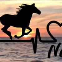 Aufkleber Herzlinie Heartbeat Pferd 1 Bild 1