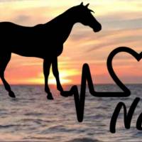 Aufkleber Herzlinie Heartbeat Pferd 2 Bild 1