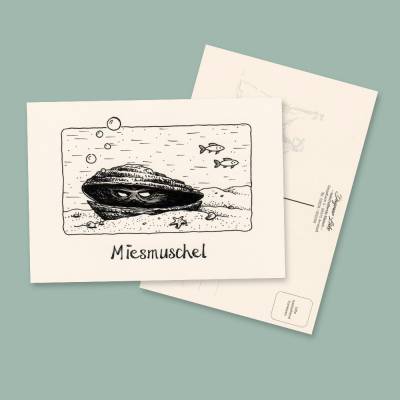 Postkarte MIESMUSCHEL von Künstlerin Dagmar Lüke I lustige Tiermotive