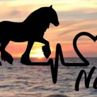 Aufkleber Herzlinie Heartbeat Pferd Tinker Bild 1