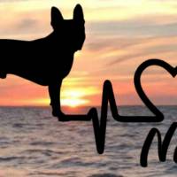 Aufkleber Herzlinie Heartbeat Boston Terrier Bild 1