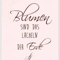 BLUMEN SIND DAS LÄCHELN... 3er Set in Rosè Handlettering Print Poster Bild mit Spruch Zitat Frühlingsblumen ModernArt Bild 3