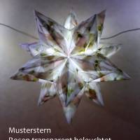 Bascettasterne Origami Bastelset 10 Sterne transparent Rosen und Ranken 5,0 cm x 5,0 cm Bild 1