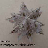 Bascettasterne Origami Bastelset 10 Sterne transparent Rosen und Ranken 5,0 cm x 5,0 cm Bild 2