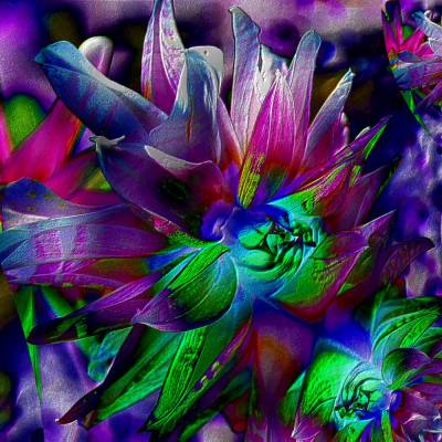 Blütenimpressionen strukturiert - Digital-ART - Kunstwerk limitiert auf 10 - Design Ulrike Kröll