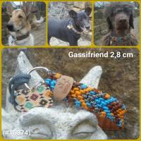 Neue Halsband-Serie #Gassifriend Hundehalsband Bild 2