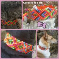 Neue Halsband-Serie #Gassifriend Hundehalsband Bild 7