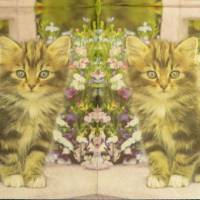 5 Servietten / Motivservietten  Katze auf Gartenstuhl / Blumen   T 367 Bild 3