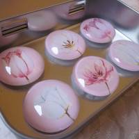 Magnete Kühlschrankmagnete Blumen Tulpe Rosa Weiß "Tulipe" 6er Set Geschenkidee für Frauen Freundin Muttertag Bild 1