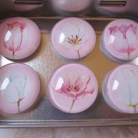 Magnete Kühlschrankmagnete Blumen Tulpe Rosa Weiß "Tulipe" 6er Set Geschenkidee für Frauen Freundin Muttertag Bild 2