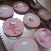 Magnete Kühlschrankmagnete Blumen Tulpe Rosa Weiß "Tulipe" 6er Set Geschenkidee für Frauen Freundin Muttertag Bild 3