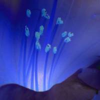 Blue lights - Digital-ART - Kunstwerk limitiert auf 10 - Design  Ulrike Kröll Bild 3