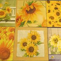 6 Servietten / Motivservietten  Blumen  / Sonnenblumen Motive Mix 3 Bild 1