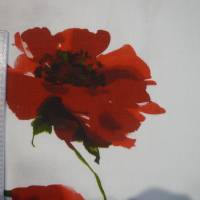 14,00 EUR/m Baumwolle Stoff Mohnblumen rot auf weiß / COQUELICOTS Bild 7