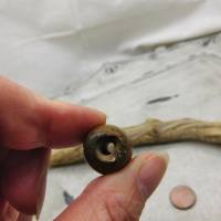 neolithische Stein-Perle aus der Sahara mit authentischen Bearbeitungsspuren- 27mm - von Hand gebohrt - Sahara Stein - 1 Bild 5