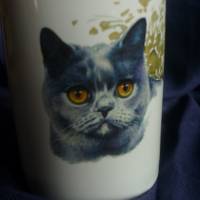 Seifenspender mit Katze,Kartäuserkatze grau Bild 2