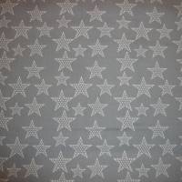 11,10 EUR/m Stoff Baumwolle Sterne weiß auf grau Bild 3