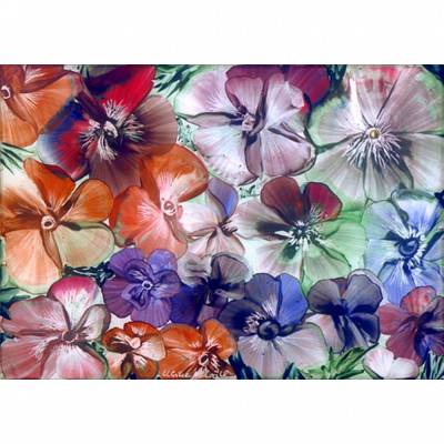 Kunst–Postkarte - „Sommerblüten“