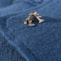 Anstecker "Frosch" Pin ans Revers in 925 Silber, Bild 10
