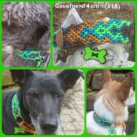 Hundehalsband 4 cm breit #Gassifriend ...mein Hund mein "BestFriend" Bild 1