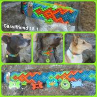 Hundehalsband 4 cm breit #Gassifriend ...mein Hund mein "BestFriend" Bild 2