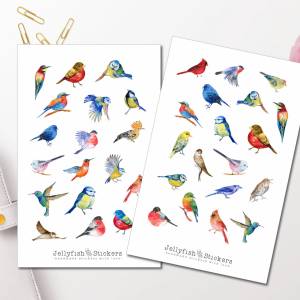 Vögel Sticker Set - Journal Sticker, Planer Sticker, Natur, Bunte Sticker, Garten, Memory Planner, Vogel Sticker Sheet Bild 1