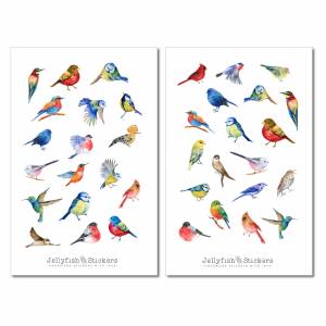 Vögel Sticker Set - Journal Sticker, Planer Sticker, Natur, Bunte Sticker, Garten, Memory Planner, Vogel Sticker Sheet Bild 2