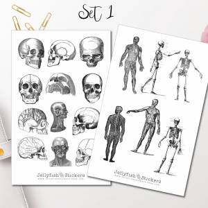 Vintage Anatomie Sticker Set | Aufkleber Körper | Journal Sticker | Sticker Knochen | Sticker schwarz weiß | Sticker Kör Bild 2