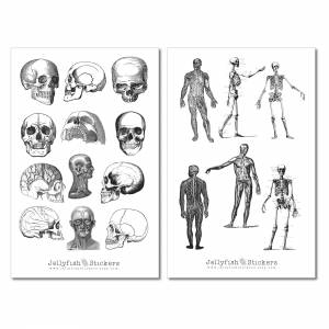 Vintage Anatomie Sticker Set | Aufkleber Körper | Journal Sticker | Sticker Knochen | Sticker schwarz weiß | Sticker Kör Bild 3