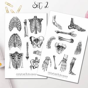 Vintage Anatomie Sticker Set | Aufkleber Körper | Journal Sticker | Sticker Knochen | Sticker schwarz weiß | Sticker Kör Bild 4