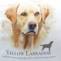 Kissenhülle Yellow Labrador, Unikat Bild 2