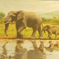 5 Servietten / Motivservietten / Elefanten /  Afrika Motive A 113 Bild 1