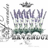 Wasserschiebefolie - Decalfolie - Abziehbild - Vintage - Shabby - Lavendel - Lavandula - 90035 Bild 1