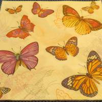 5 Servietten / Motivservietten  Schmetterlinge   T 220 Bild 1