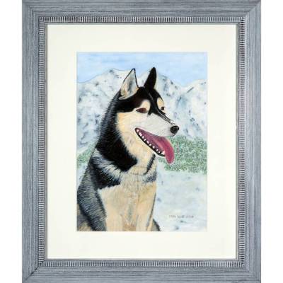 Husky - Original Aquarellmalerei, gerahmtes Unikat