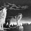 Metallic Bordüre: Wolf - mit Silberglanz-Effekt - 18 cm Höhe Bild 6