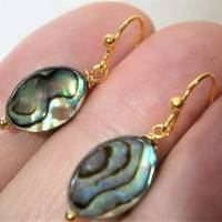 kleine Ohrringe Seeopal kleine Ovale Tropfen Abalone als Opal der Meere 9 x 12 Millimeter handgemacht in goldfarben Bild 2