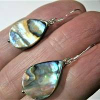 Ohrringe mit Abalone dem Opal der Meere als Tropfen 18 x 14 mm an 925er Silber Bild 2