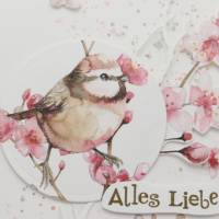 Grußkarte, Glückwunschkarte zum Geburtstag mit Kirschblütenzweig und Vogelmotiv Bild 2